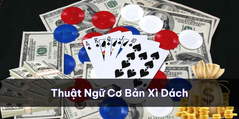 Thuật ngữ cơ bản trong cách chơi bài xì dách